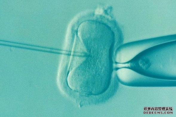 去廣州捐卵 廣州三代試管包男孩是否真實？具體的手術價格 ‘b超如何測男女’