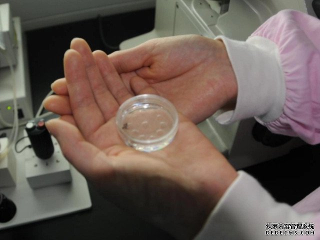 廣州代孕2021 廣州試管成功率高的醫院 ‘7周孕囊看男女準確率’