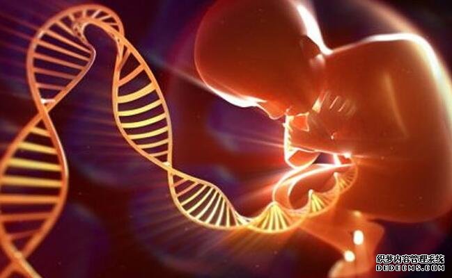 長沙試管供卵機構排名 長沙中信湘雅試管流程怎么樣？如何做試管嬰兒？ ‘懷男孩孕囊和女孩區別’