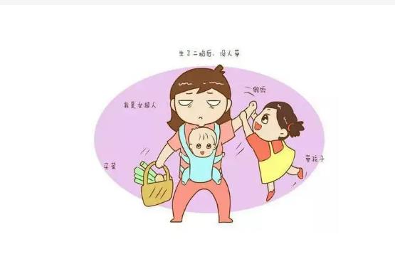 做試管嬰兒時(shí)為何要進(jìn)行卵泡監(jiān)測(cè)試管嬰兒過(guò)程中