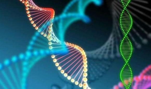 臨汾試管供卵 臨汾試管嬰兒成功率高不高?哪些因素影響成功率? ‘孕囊大小怎么看男女三個數據’