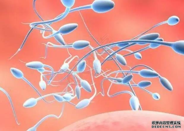 2023惠州試管供卵助孕機構排名最新公布！附借卵生男孩包成功費用詳情