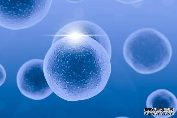 舟山代懷地址 舟山試管嬰兒醫(yī)院簡介 ‘46天孕囊23x18x14男女’