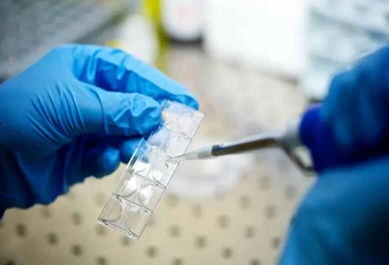 蘇州個(gè)人找供卵試管媽媽 蘇州市立醫(yī)院三代試管多少錢? ‘b超查男女會(huì)不會(huì)把臍帶看成是男孩’