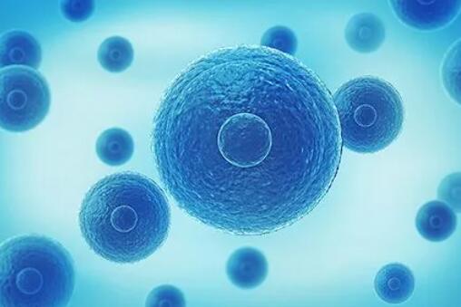 沈陽菁華醫院和盛京醫院試管醫保 沈陽菁華醫院試管成功率高嗎? ‘超生彩超看男女’