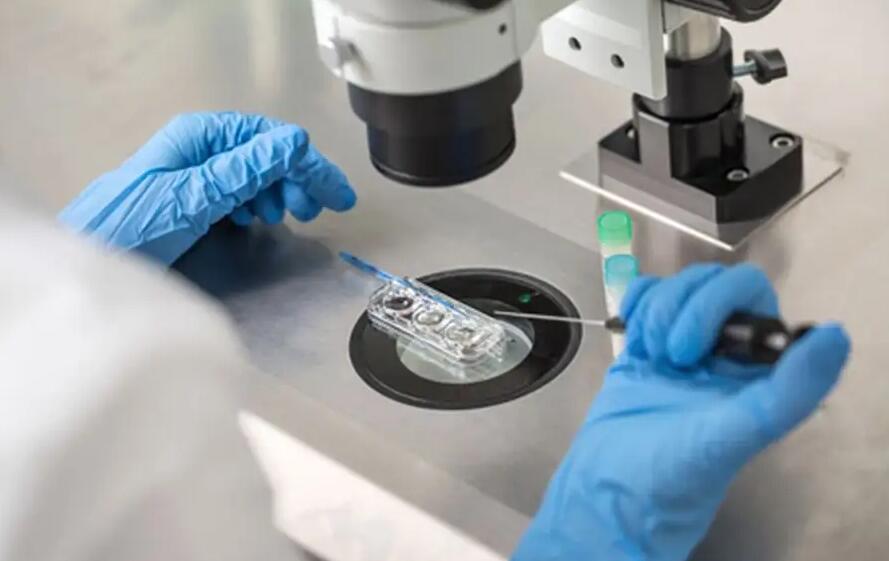 沈陽三代試管 沈陽婦嬰醫院生殖醫學中心 ‘四維彩超通過胎心率可以看出男女嗎’