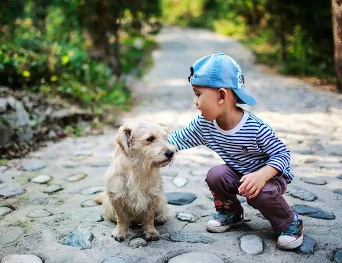 江蘇供卵試管 如何提高在江蘇省中醫院的試管成功率? ‘胎囊2.3*2.3*1.2是男孩女孩’