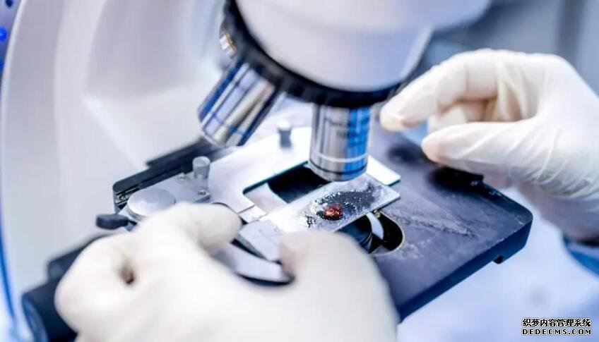 深圳試管代孕生殖中心 深圳試用期有育兒假嗎？ ‘24三維彩超男女’