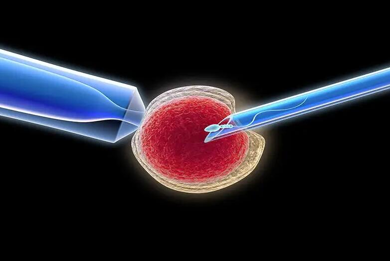 沈陽代代孕好嗎 在沈陽做試管過程痛苦嗎？有哪些適應癥？ ‘b超單3個數據看男女2.8*1.5*14w5d’