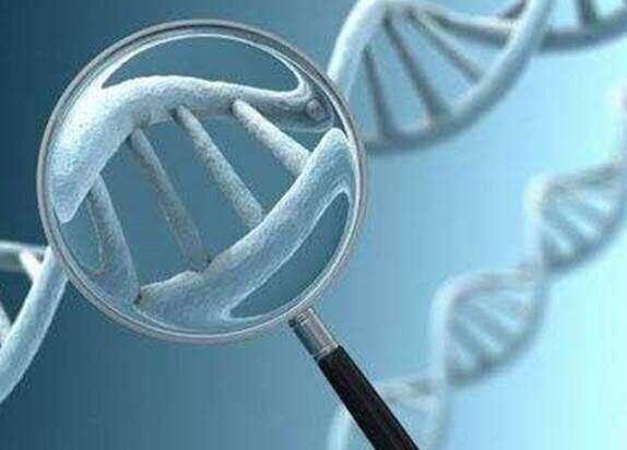 試管嬰兒多少錢可以做？試管多少錢可以成功懷孕？