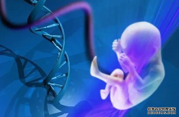 福州借卵子自懷 022福州試管嬰兒醫(yī)院排行榜，3家試管醫(yī)院名單公布！ ‘b超如何測男女’