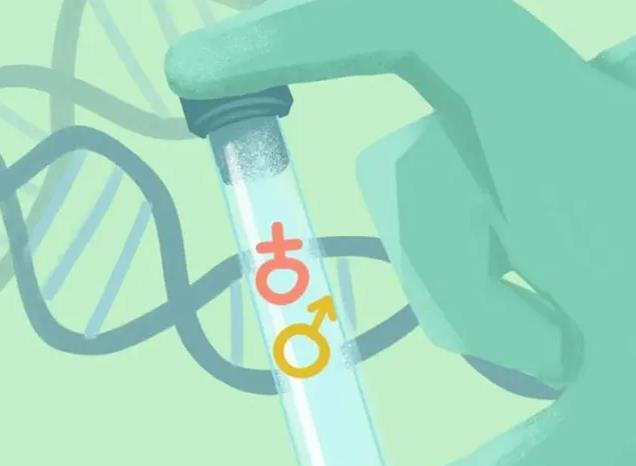 吉林試管醫院 2023吉林正規民營捐卵機構指南 ‘b超如何測男女’