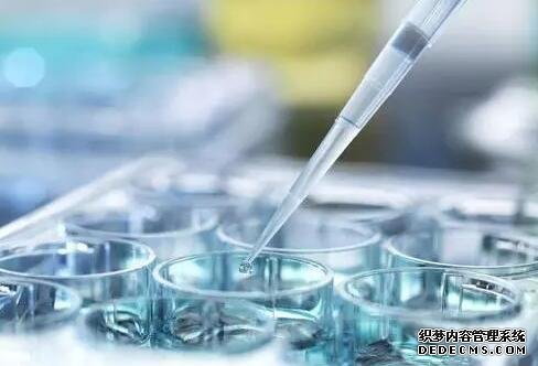 試管嬰兒結婚證別妄想造假，一旦發現你就完蛋了