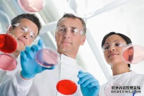 成都供卵試管聯系方式 成都西囡醫院試管成功率 ‘b超單哪里能看出是男是女’