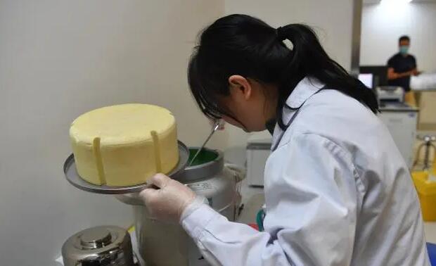 徐州試管供卵 試管助孕成功率:徐州四院試管嬰兒成功率是多少? ‘黑白b超看男女有三條杠準嗎’