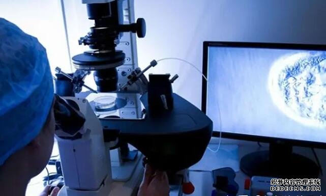 杭州供卵黑中介 杭州試管嬰兒的流程步驟試管嬰兒的詳細(xì)流程步驟 ‘懷孕16周男寶寶生殖器b超圖’