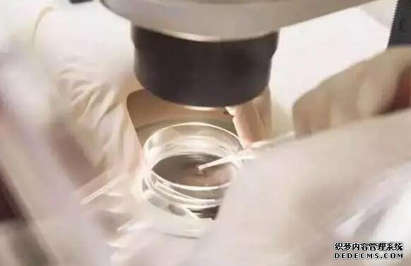 溫州可信度好供卵機構 2022溫州醫科大學附屬第一醫院能做供精試管嬰兒嗎？附浙江供精試管醫院排名 ‘孕囊小HCG慢是不是男孩’