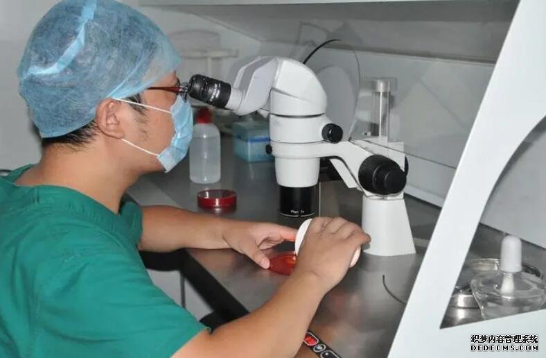 江蘇代孕2019 江蘇省供精試管流程： ‘nt2.0心率163男孩女孩’