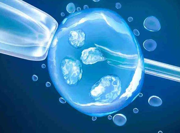 甘肅三附院試管醫(yī)生解答試管嬰兒問題這些情況早知