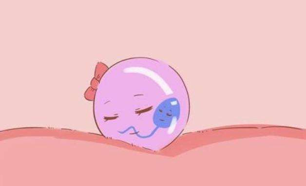 第三代試管北京 北京做試管最好的三家醫院： ‘b超如何測男女’