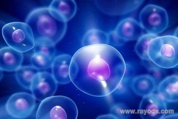 試管嬰兒醫(yī)院選擇標(biāo)準(zhǔn)