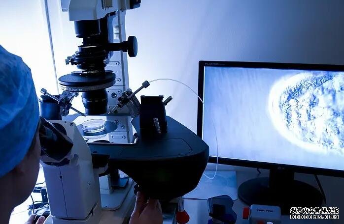 青島借卵供卵試管價錢 青島海慈醫院待產包 ‘孕囊1.8*2.0*1.3是男是女孩’