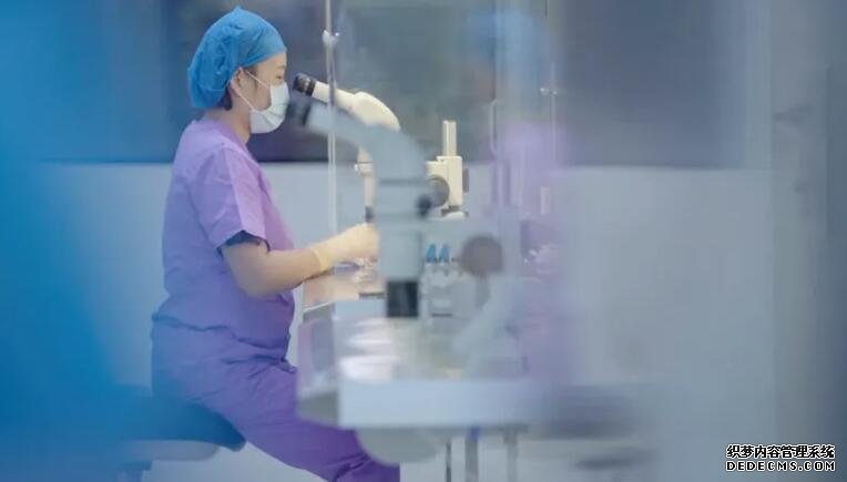 在浙江哪里有供卵試管嬰兒 2022浙江省試管醫院成功率排行榜，附生殖醫院選擇經驗分享 ‘孕囊5.1x2.6x1.9是男是女’