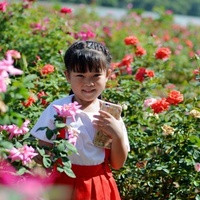 長沙供卵試管群 長沙生育津貼領取條件2023
是什么？ ‘孕囊1.9*1.6*1.1是女孩？’