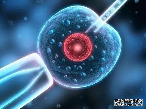 杭州代懷代生多少錢 杭州生育津貼網上申報流程有什么？ ‘生男孩彩超圖’