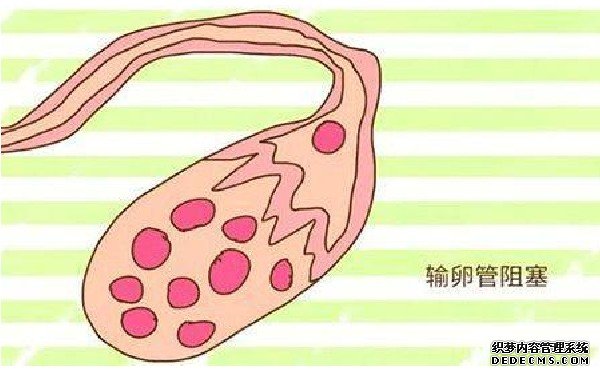 促排5天促黃體生成素正常值是多少,促排第五天卵泡一般長多大