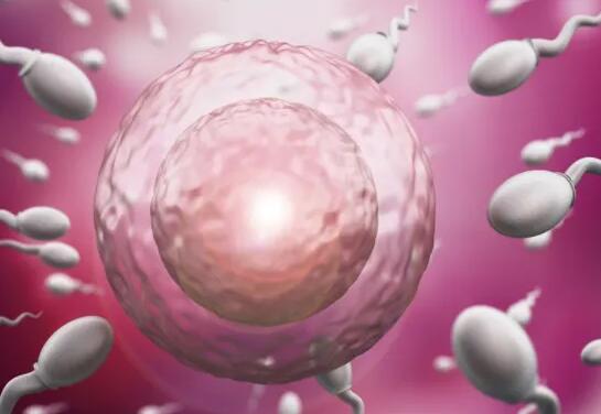 新疆輔助生殖醫院 2022年新疆維吾爾自治區供卵試管助孕費用價格明細一覽表 ‘胎兒b超圖片怎么看男女’