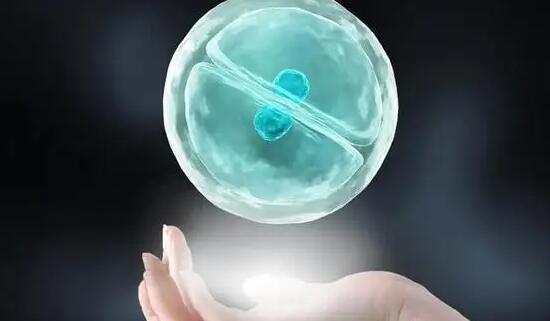 鞍山試管供卵 馬鞍山婦幼保健院試管醫生推薦: ‘b超單子怎么能看出是男孩女孩圖片’