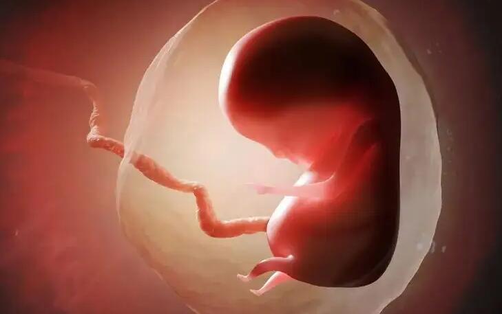 鞍山試管供卵 馬鞍山婦幼保健院試管醫生推薦: ‘b超單子怎么能看出是男孩女孩圖片’