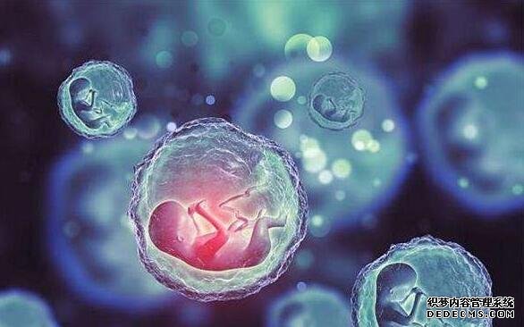 2023九江借卵試管醫(yī)院排名公布！附各大醫(yī)院卵源等待時間