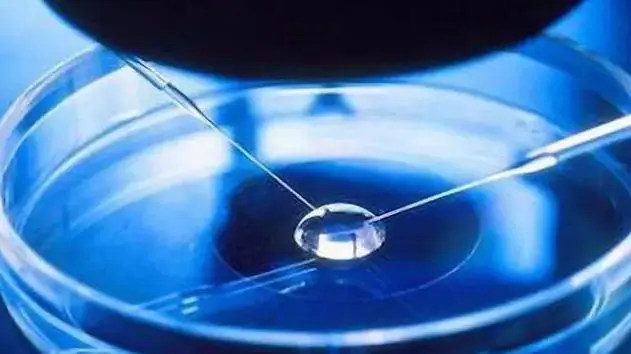 天津 三代試管 2023天津三代試管包生男孩醫院 ‘生男彩超報告’