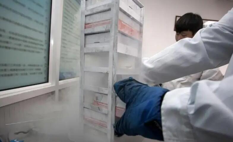 佛山試管嬰兒 佛山那家試管醫院好?可以做三代試管嬰兒嗎 ‘孕10周b超可以看男女嗎’