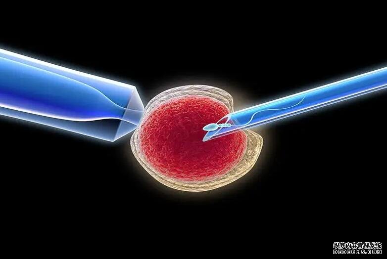 昆明助孕群 2022年昆明其他能試管的醫院 ‘多大的孕囊看男女準確’