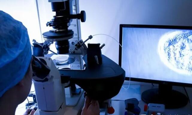 做完泰國試管嬰兒移植成功后為什么還要用黃體酮？使用黃體酮最好的方式什么？