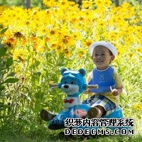 試管嬰兒前期，取卵后，移植前的飲食你了解嗎？