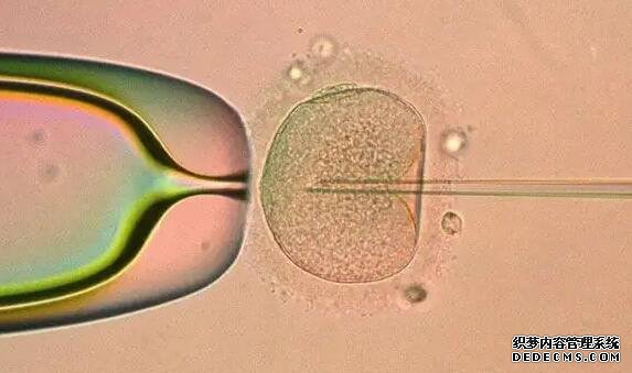 2023邢臺供卵試管醫院排名前十已更新!附借卵排隊時間參考