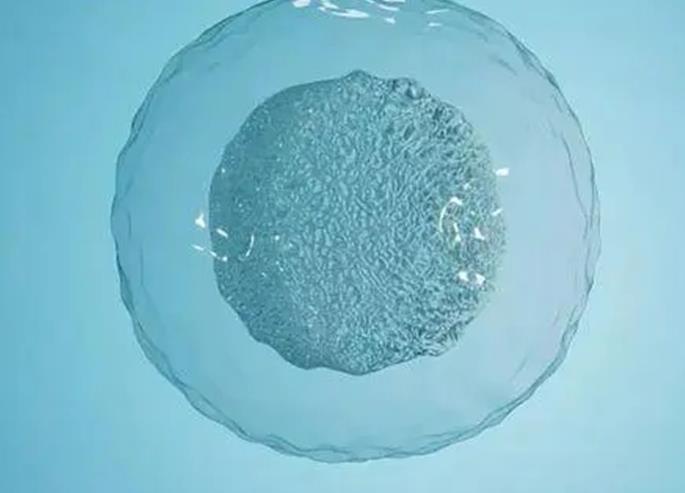 山西試管供卵 山西試管嬰兒醫院技術好不好? ‘懷男孩女孩孕囊的區別’