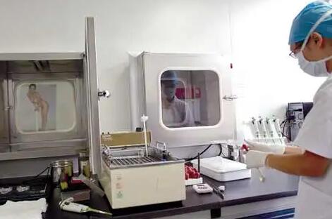 東莞試管在哪里 東莞試管嬰兒費用多少 ‘b超單哪里能看出是男是女’