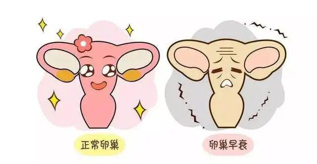 大同供卵試管 2023年大同市第三人民醫院試管嬰兒成功率高嗎? ‘彩超看見兩腿中間有圓圓鼓包沒有尖尖是女寶男寶’