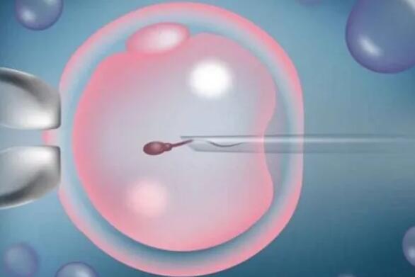 做試管嬰兒會老得快？NO，明明很安全