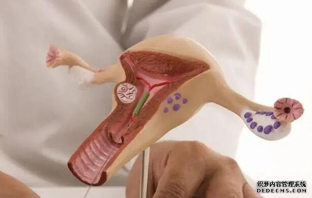 2023福州三代供卵生男孩醫(yī)院名單大全！附最新捐卵排隊(duì)時(shí)間參考