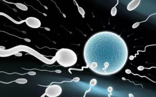 北京北醫三院試管嬰兒費用多少？技術怎么樣？