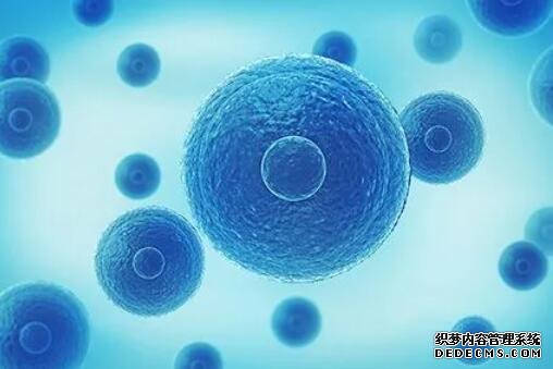 這四種類型的孕婦最容易生唐氏兒!特別是第一個