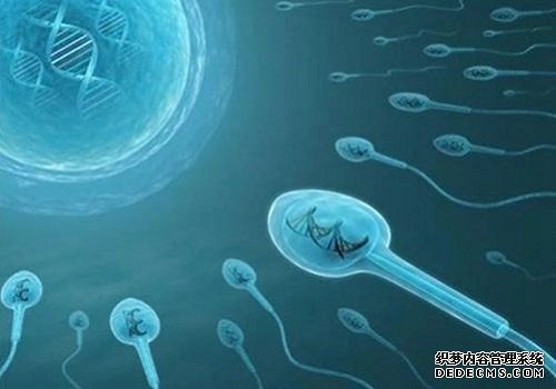 山東大學附屬醫院生殖醫院全國排名第幾 022年山東能包生男孩的試管醫院匯總，有2家醫院擁有三代技術 ‘怎么從雙頂徑參數看男女’