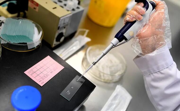 廣州試管最好私立醫(yī)院做試管多少錢 廣州試管成功率高的私立醫(yī)院推薦: ‘懷孕7個(gè)月四維彩超看男女’