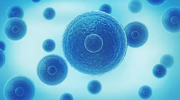 濰坊婦幼試管嬰兒成功率多少？一次試管嬰兒成功率高嗎？